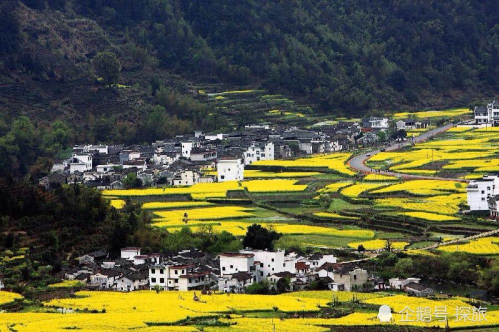 江西秘境,江西小巷深处,邂逅隐藏的特色小店