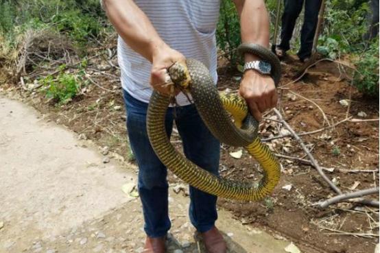探寻河南,历史与现代交融的文化瑰宝之旅